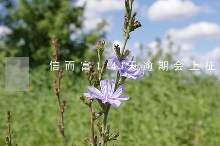 信而富14天逾期会上征信吗 信而富14天逾期会上征信吗