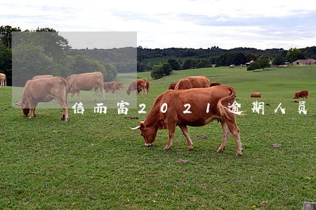 信而富2021逾期人员名单 信而富2021逾期人员名单