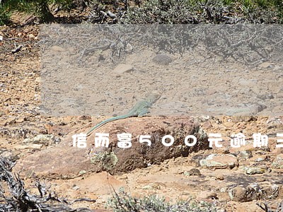 信而富500元逾期三年 信而富500元逾期三年