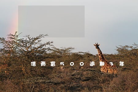 信而富500逾期3年
