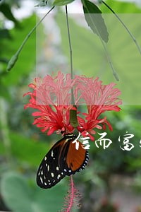信而富500逾期6年 信而富500逾期6年
