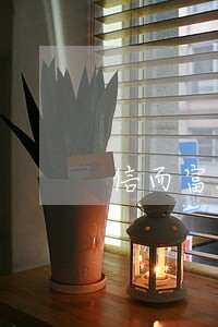 信而富500逾期7天 信而富500逾期7天