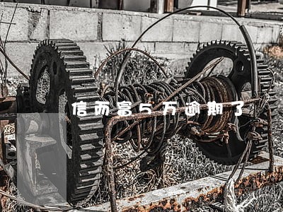 信而富5万逾期了 信而富5万逾期了