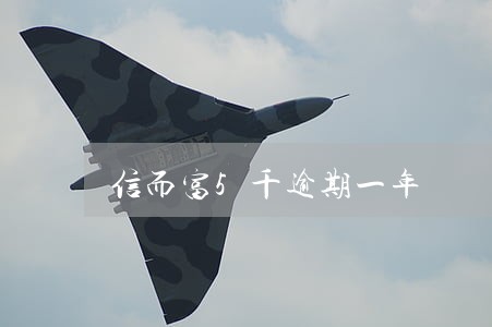 信而富5千逾期一年