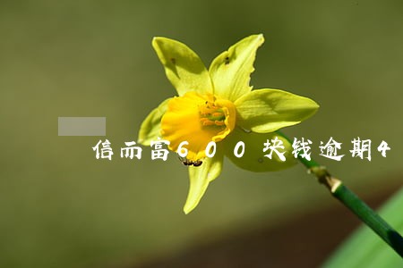 信而富600块钱逾期4年 信而富600块钱逾期4年