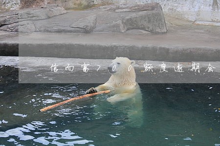 信而富700额度逾期会降吗 信而富700额度逾期会降吗