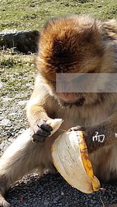 信而富怎么只还本金 信而富怎么只还本金