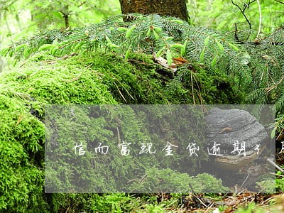 信而富现金贷逾期3月 信而富现金贷逾期3月