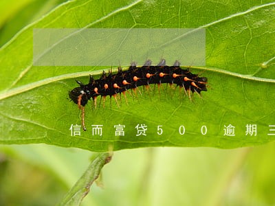 信而富贷500逾期三年 信而富贷500逾期三年