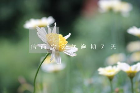 信而富贷款逾期7天 信而富贷款逾期7天
