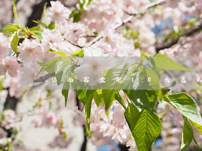 信而富逾期10天怎么办 信而富逾期10天怎么办
