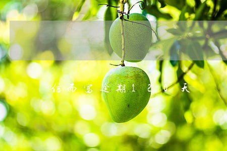 信而富逾期120天 信而富逾期120天
