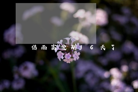 信而富逾期16天了 信而富逾期16天了
