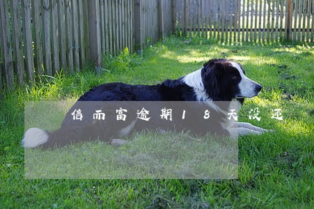 信而富逾期18天没还 信而富逾期18天没还