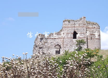 信而富逾期1天严重 信而富逾期1天严重