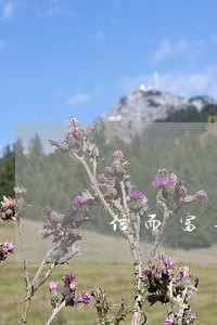 信而富逾期2个多月 信而富逾期2个多月