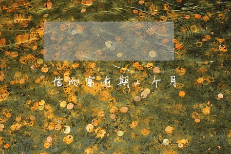 信而富逾期2个月