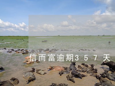 信而富逾期357天