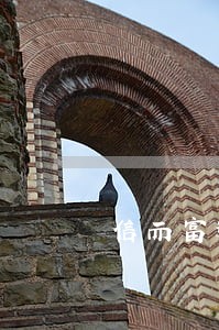 信而富逾期3天还能借吗 信而富逾期3天还能借吗