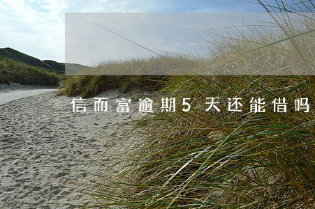 信而富逾期5天还能借吗 信而富逾期5天还能借吗