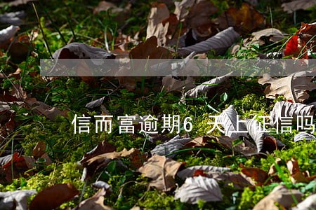 信而富逾期6天上征信吗 信而富逾期6天上征信吗