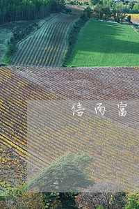 信而富逾期7天还能借么 信而富逾期7天还能借么