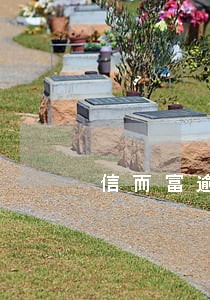信而富逾期8天还能借出来吗