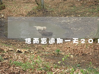 信而富逾期一天2018 信而富逾期一天2018