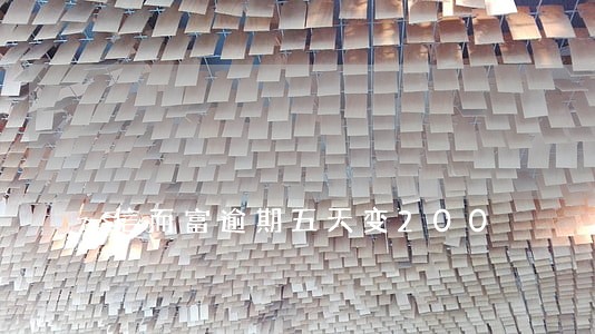 信而富逾期五天变200 信而富逾期五天变200