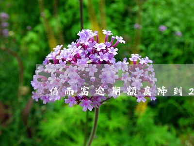 信而富逾期额度降到200 信而富逾期额度降到200