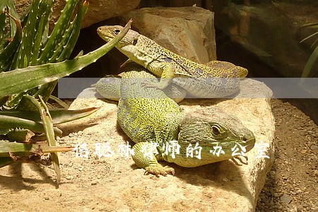 信聪林律师的办公室