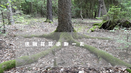 信融花花逾期一天 信融花花逾期一天