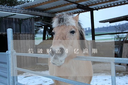 信融财富4亿逾期 信融财富4亿逾期