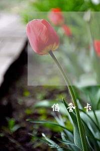 信誉卡不还本金只还利息 信誉卡不还本金只还利息