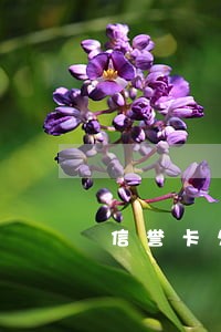 信誉卡欠7万逾期了可协商分期吗 信誉卡欠7万逾期了可协商分期吗