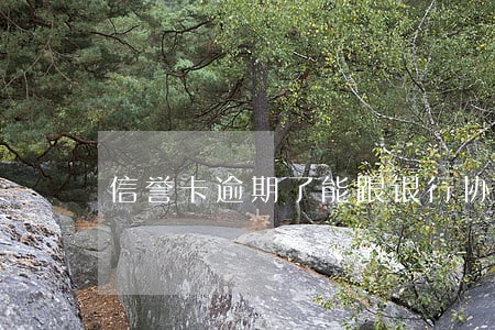 信誉卡逾期了能跟银行协商吗 信誉卡逾期了能跟银行协商吗