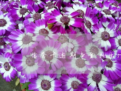 信誉卡逾期本金超出5万