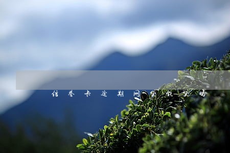 信誉卡逾期网贷能贷吗 信誉卡逾期网贷能贷吗