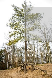 信誉卡逾期能贷款么 信誉卡逾期能贷款么