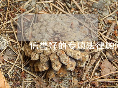 信誉好的专项法律顾问 信誉好的专项法律顾问