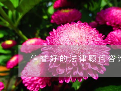 信誉好的法律顾问咨询处 信誉好的法律顾问咨询处