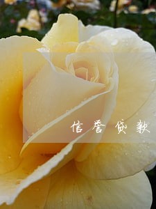 信誉贷款逾期了怎么办 信誉贷款逾期了怎么办