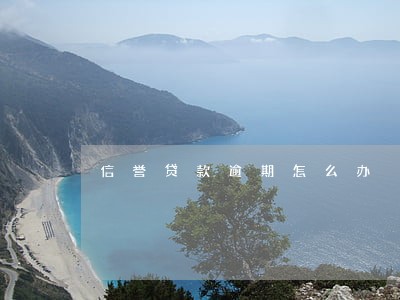 信誉贷款逾期怎么办 信誉贷款逾期怎么办