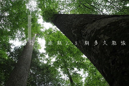 信誉逾期25期多久能恢复 信誉逾期25期多久能恢复