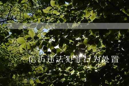 信访违法犯罪行为处置 信访违法犯罪行为处置