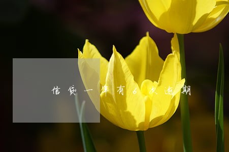 信贷一年有6次逾期 信贷一年有6次逾期