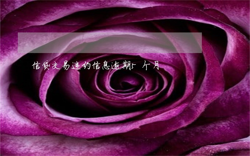 信贷交易违约信息逾期5个月 信贷交易违约信息逾期5个月