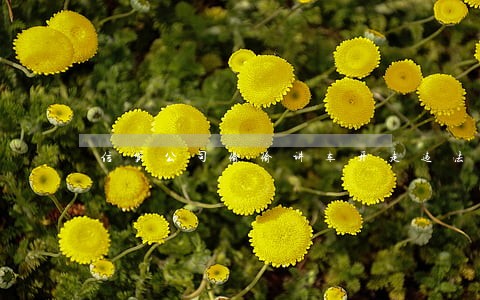 信贷公司偷偷讲车开走违法吗 信贷公司偷偷讲车开走违法吗