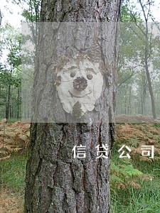 信贷公司的贷款逾期会上门吗 信贷公司的贷款逾期会上门吗