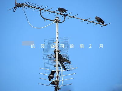 信贷公司逾期2月 信贷公司逾期2月